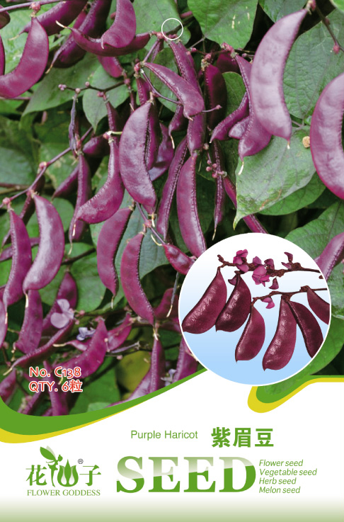 紫眉豆
