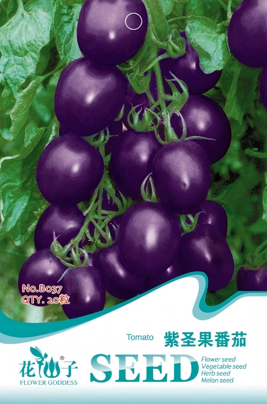 ʥŮ
